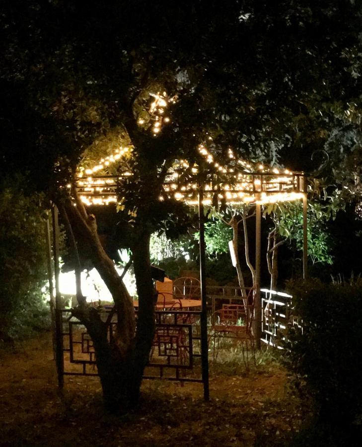 La Cactee Singuliere Bed & Breakfast Béziers Eksteriør bilde