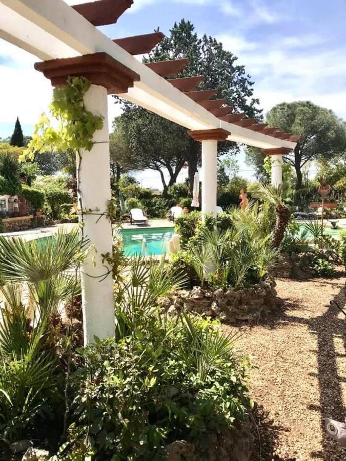 La Cactee Singuliere Bed & Breakfast Béziers Eksteriør bilde