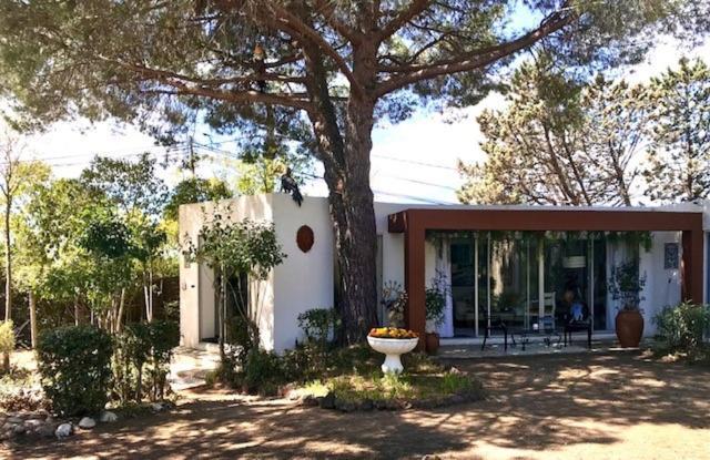 La Cactee Singuliere Bed & Breakfast Béziers Eksteriør bilde