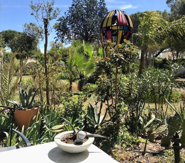 La Cactee Singuliere Bed & Breakfast Béziers Eksteriør bilde